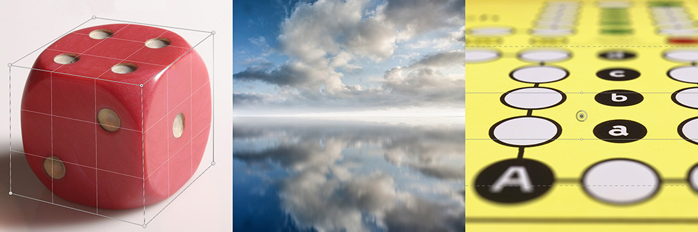 schuy_staiger_03